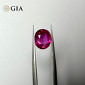 1.26 CT GIA CERTIFIED BURMESE NATURAL RED RUBY